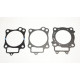ATHENA Прокладка TOP-END (RACING) HONDA CRF 250R '10-'17, CRE 250F/R '10-'13