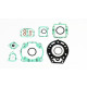 ATHENA Прокладка TOP-END KAWASAKI KDX 200`95-03