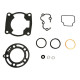ATHENA Прокладка TOP-END KAWASAKI KX 100 98-13, SUZUKI RM 100 03-08