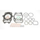 ATHENA Прокладка TOP-END SUZUKI DR250`90-95