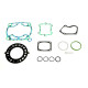 ATHENA Прокладка TOP-END SUZUKI RMX250`90-92 (L/M/N)