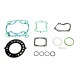 ATHENA Прокладка TOP-END SUZUKI RMX250`90-92 (L/M/N)