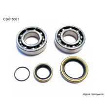 Bearing worx підшипники коленвала beta 2t 250 / 270 / 290 / 300, rr 250 / 300 '13-'22 (ntn) (вироблено в японії) (23.cbs73013)