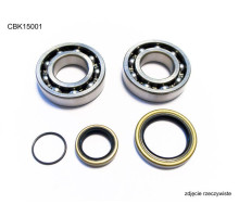 Bearing worx підшипники коленвала beta 2t 250 / 270 / 290 / 300, rr 250 / 300 '13-'22 (ntn) (вироблено в японії) (23.cbs73013)