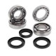 Bearing worx crankshaft bearings gas gas ec 200 '05-'07, ec 250/300 '03-'07 (ntn) (made in japan) (24-111 Racing5)