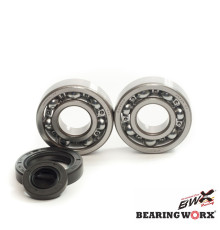 Підшипник worx підшипники коленвала HONDA cr 250 92-07 (ntn) (made in japan) (24-1030)