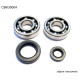 Підшипник worx підшипники коленвала HONDA cr 250 92-07 (ntn) (made in japan) (24-1030)