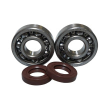 Bearing worx підшипники коленвала ktm sx 65 98-08 (ntn) (made in japan) (24-1102)