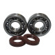 Bearing worx підшипники коленвала ktm sx 65 98-08 (ntn) (made in japan) (24-1102)