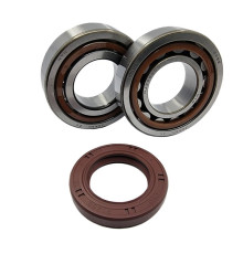 Bearing worx підшипники коленвала ktm sx/exc 400/450/520/525 (ntn) (made in japan) (24-1106)