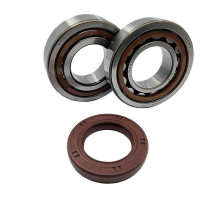 Bearing worx підшипники коленвала ktm sx/exc 400/450/520/525 (ntn) (made in japan) (24-1106)