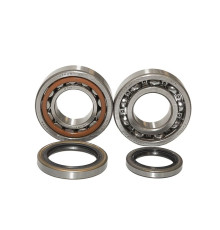 Bearing worx підшипники коленвала sherco se-r 250 2t 14-16, se-r 300 2t 14-16 (ntn) (made in japan)