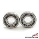 Bearing worx підшипники коленвала YAMAHA yfm 700 grizzly '07-'18 (ntn) (made in japan) (24-1096)