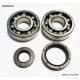 Bearing worx підшипники коленвала YAMAHA yz 250 88-97 (ntn) (made in japan) (24-1027)