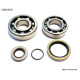 Bearing worx підшипники коленвала з Прокладкими gas gas ec 200/250/300 '10- (ntn) (made in japan)