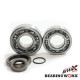 Bearing worx підшипники коленвала з Прокладкими gas gas ec 200/250/300 '10- (ntn) (made in japan)