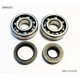 Bearing worx підшипники коленвала з Прокладкими kawasaki kx 125 88-07 (ntn) (made in japan) (24-1008)
