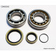 Bearing worx підшипники коленвала з Прокладкими ktm sx/exc 250/300 04-19, freeride 250r '14-'17, husqvarna te/tc 250/300 '14-'14, husaberg te250/300 11-14 (ntn) (made in japan) 1098) = cbk35001