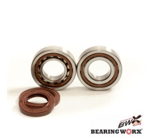 Bearing worx підшипники коленвала з Прокладкими ktm sxf 250 13-15, sxf 350 11-15, husqvarna fc/fe 250/350 14-15 (ntn) (вироблено в японії) (23.cbs63013) = cbk60009