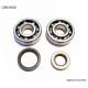 Bearing worx підшипники коленвала з Прокладкими gas gas ec 125 '10- (ntn) (вироблено в японії)