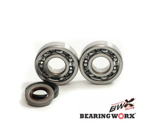 Bearing worx підшипники коленвала з Прокладкими gas gas ec 125 '10- (ntn) (вироблено в японії)