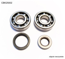 Bearing worx підшипники коленвала з Прокладкими gas gas ec 125 '10- (ntn) (вироблено в японії)