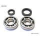 Bearing worx підшипники коленвала з Прокладкими HONDA cr 125 79-07 (ntn) (made in japan) (24-1003)=cbk30010