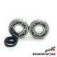 Bearing worx підшипники коленвала з Прокладкими husqvarna cr250 99-04, wr250 99-13, wr300 98-13 (ntn) (made in japan) (24-1107)
