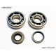 Bearing worx підшипники коленвала з Прокладкими husqvarna cr250 99-04, wr250 99-13, wr300 98-13 (ntn) (made in japan) (24-1107)