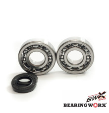 Підшипник worx коленвала підшипники з сальниками kawasaki kdx 200 '91-'06, kdx 220 '97-'05 (ntn) (made in japan) (24-1045)