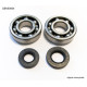Bearing worx підшипники коленвала з Прокладкими kawasaki kx 250 87-01 (ntn) (made in japan) (24-1010)