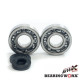 Bearing worx підшипники коленвала з Прокладкими kawasaki kx 250 87-01 (ntn) (made in japan) (24-1010)