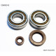 Bearing worx підшипники коленвала з Прокладкими ktm sx/exc 400/450/520/525 (ntn) (made in japan) (24-1106)