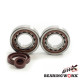 Bearing worx підшипники коленвала з Прокладкими ktm sx/exc 400/450/520/525 (ntn) (made in japan) (24-1106)
