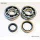 Bearing worx підшипники коленвала з Прокладкими suzuki rm 250 96-02 (ntn) (made in japan) (24-1021)