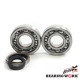 Bearing worx підшипники коленвала з Прокладкими suzuki rm 250 96-02 (ntn) (made in japan) (24-1021)