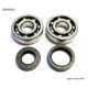 Bearing worx підшипники коленвала з Прокладкими YAMAHA yz 125 86-00 (ntn) (made in japan) (24-1024)