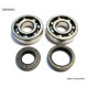 Bearing worx підшипники коленвала з Прокладкими YAMAHA yz 125 86-00 (ntn) (made in japan) (24-1024)