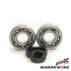 Bearing worx підшипники коленвала з сальниками YAMAHA yz 250 '01-'22 (ntn) (made in japan) (24-1029)