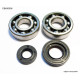 Bearing worx підшипники коленвала з сальниками YAMAHA yz 250 '01-'22 (ntn) (made in japan) (24-1029)