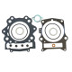 CENTAURO Прокладка TOP-END YAMAHA YFM 700 RAPTOR '06-'20 , YFM 700 GRIZZLY '07-'15
