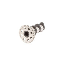 HOT CAMS кулачки розділвал YAMAHA yz 450f (03-09) впуск