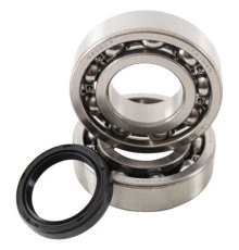 Підшипники коленвала hot rods kawasaki kxf 250 04-24