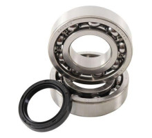 Підшипники коленвала hot rods kawasaki kxf 250 04-24