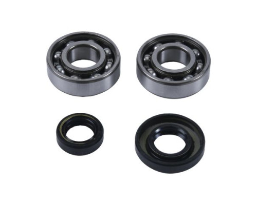 Підшипники коленвала hot rods ktm sx 50 04-08