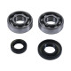 Підшипники коленвала hot rods ktm sx 50 04-08