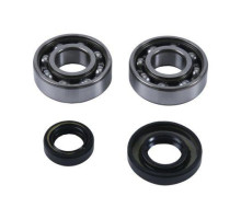 Підшипники коленвала hot rods ktm sx 50 04-08