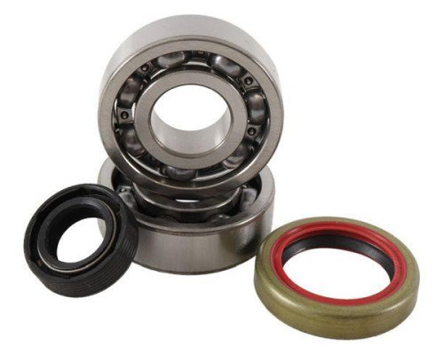 Підшипники коленвала hot rods ktm sx 50 09-12