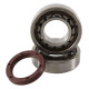 Підшипники коленвала hot rods ktm sxf 250 12-13, xcf 250 13