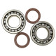 Підшипники коленвала hot rods ktm sxf 450 13-15, exc 500 12-16
